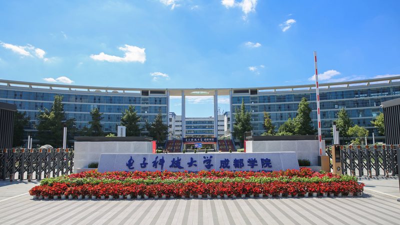 二极管的奥秘：分类与用途全解析**