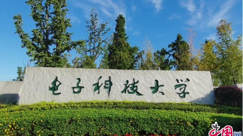 电子元件安装与焊接：差异与选择要点